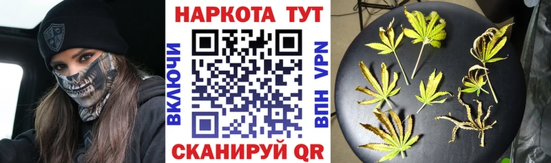 Псилоцибиновые грибы Новоалтайск