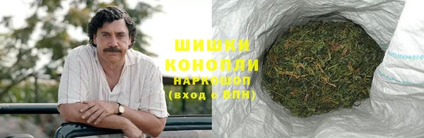 стаф Белоозёрский