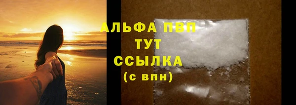 стаф Белоозёрский