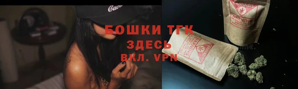 стаф Белоозёрский