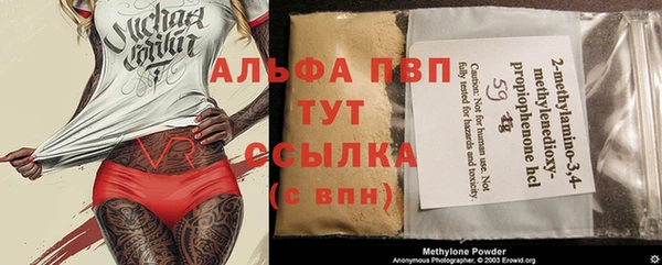 кокс Белокуриха