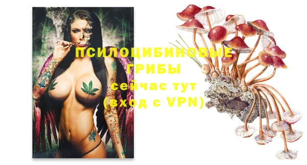 стаф Белоозёрский