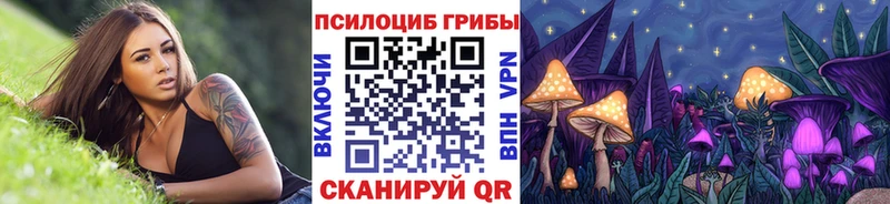Псилоцибиновые грибы ЛСД  закладки  блэк спрут ссылка  маркетплейс клад  Новоалтайск 